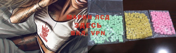 прущие грибы Алексин